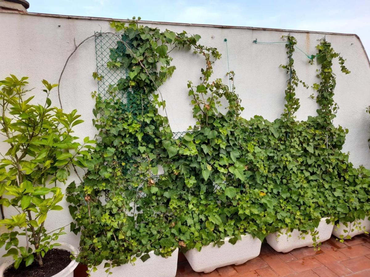 Apartamento Atico Isaac Albeniz La Pineda Exterior foto