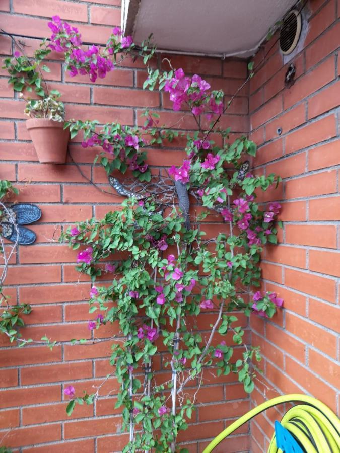 Apartamento Atico Isaac Albeniz La Pineda Exterior foto