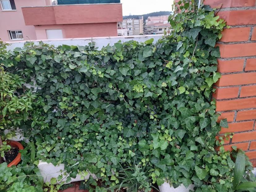 Apartamento Atico Isaac Albeniz La Pineda Exterior foto
